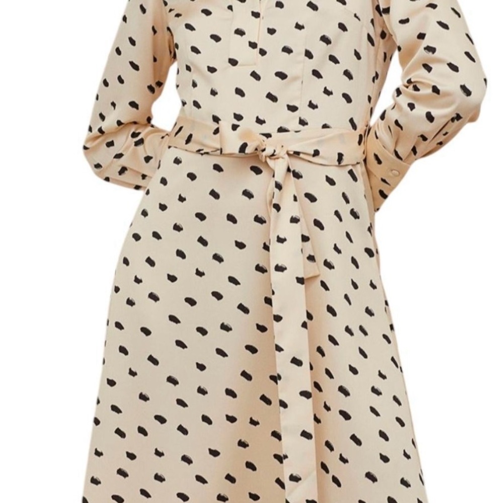 H&M Polka Dot Silky Dress